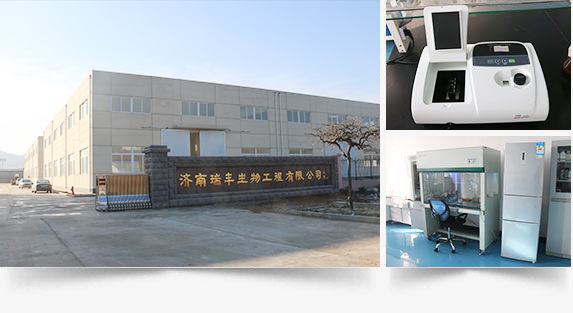 濟南瑞豐生物工程有限公司 濟南瑞豐生物工程有限公司