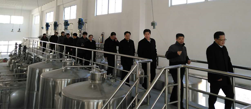 酒曲微生物 酒曲微生物