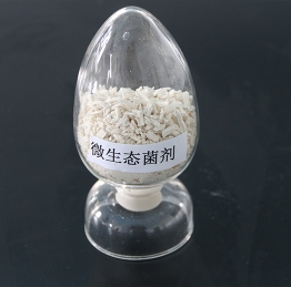 白酒發(fā)酵微生態(tài)菌劑